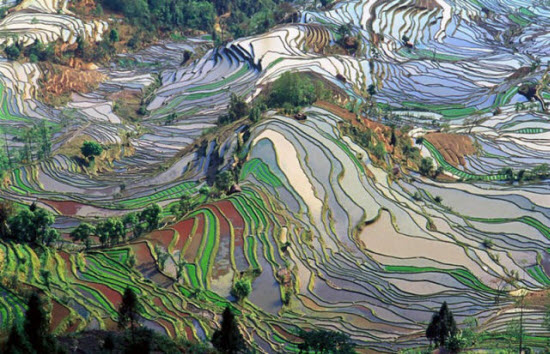 Amazing Pictures Amazing Pictures