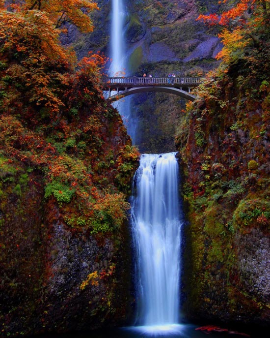 Amazing Pictures Amazing Pictures